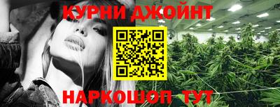 метадон Новозыбков