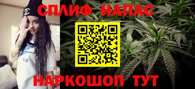 метадон Новозыбков